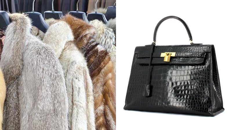 Antiquaire achat bijoux fourrure montre et monnaie à Dijon